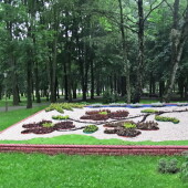 99d9ff1feae229bf88eb0b91b964160c