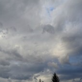 9a142b49f19fcebdbae2481fa529a20a