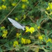 a02911afc8edfb6c014c4eee7af68667