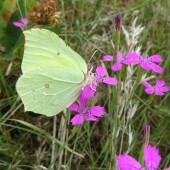 aa7574743fa640570cb6e07736608bd3