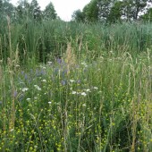 b011aa0875ab116107deb38f04f6a602