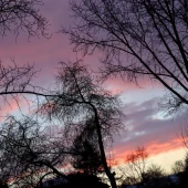 b0c6c3b0731c6b5303306669ff15a5d3