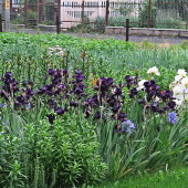 b92c6e23e1bacf5ca2cdbed0effd5af6