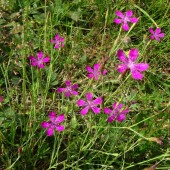 b965563a9f41c56e6e51e8004b579a97