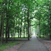 b970d99887bfed7bbb73881ef200ee22