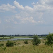 c61424ab30c4a84cbf3a07f0d10b5607