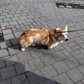 c76dee3e49bfec57ae15b3bd8d89d9b1