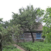 cd3be263b8e5a0154bd88f8ff40b3275