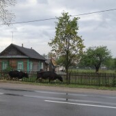 d41fc2dfccf5fb0ab23c8a69d77e1db4