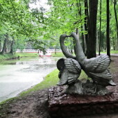 d43e814f7b622aebc8d028434da91415