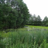 d6a030c11869f85e930c36420d8b7dd8