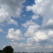 dc68bb54fd4e2d337039bb4de06fe917