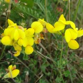 de27d17d4caa30b4498cca4dbb1457d4