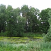 dfffe7590b0be8f8179ae9602563d297