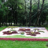 e03ed3fa8fd4682a72eebe017e1a2b44