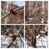 e721b5a17352e532547dc1d7295a1255