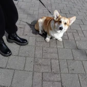 ecf16d11fd7e93b3b96e5b1a905a168d