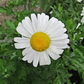 eebd3a21a4110190f69a40ac85a4c1d9