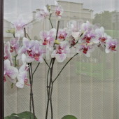 f979a57a27bea9a44099405f00be17d3