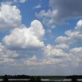 f9bff969d32debd5b42fc44ed50f788d