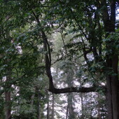 0ecea254342e9c6c48dcd2350f8f9015