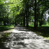 1155040c762266424588510d600bc1c1