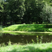 19cefacc99880d3c30c62f28c4d88fcc