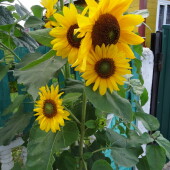 2b582a1142fe4c3c3bc24913d560ccd6