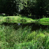 312518c28d7a6ed6bf973e16861ac80e