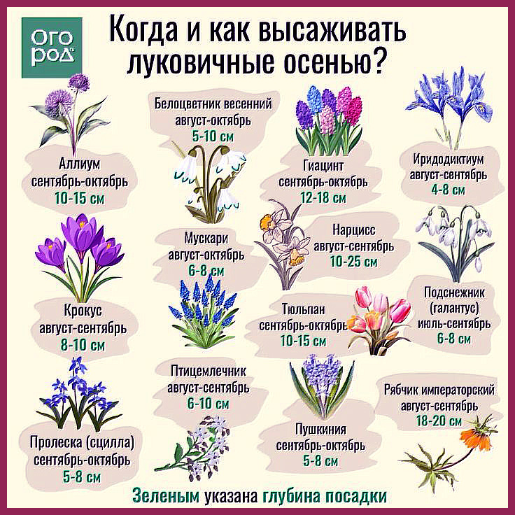 3ec419192f5f73fa9a81cc271059a489