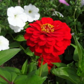 3b28703585acb6c2d1a6848b6e40630e