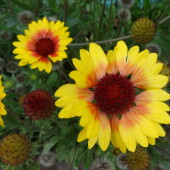 3cb3b774023c8462a90f0cf2730aa8d8