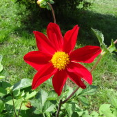 3dc3a3dc351f31183757f043410f3476