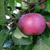 4d428e1997fe1fa265981e7622731dc4