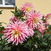 64fa896f110a2e7075b870b172cbffff