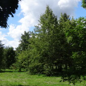 764c71f21a9854cb2b101c203262f45a