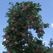 7aaab93d7ec28e1095efda9c245835aa