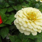 82de5e14d4610a1393736e6c4b11b2d0