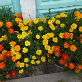 88f7e82b7688a429d0161a9528b3b109