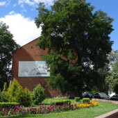 8a4a3b62c016412bec7f2fe10dcf77ef