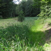 9ce338b5b5ba2a95584d8828408d117f