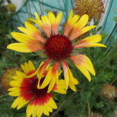 abcf303e841a50b56b37b5d884055b0e