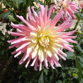 ac665e4369d17cd6b1b3a7c3e832acee