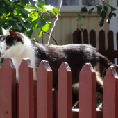 d4ff44af97659e1f1b042cb7e3982ae7