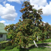 d8902fe5735f060d259265742108080c