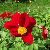 e560abbe1e4c026c6fe550ca1cc1dcc4