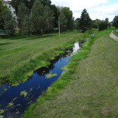 febe0e4768948b1c3fd9f6ddba56d228