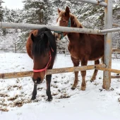 025807456eb88e62e7b05a5d843b1652