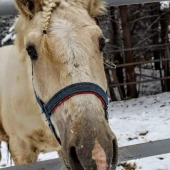 037f554f4056a8547e72fc6ce9b2b554