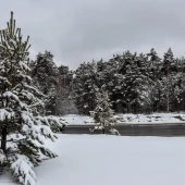 08c9d0244c22a32a10b3c3b387a86aba